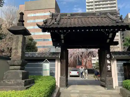 善性寺の山門