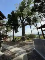 阿久津「田村神社」(郡山市阿久津町)旧社名:伊豆箱根三嶋三社のその他建物