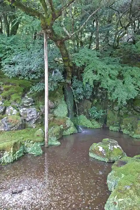 慈照寺(慈照禅寺・銀閣寺)(京都府)