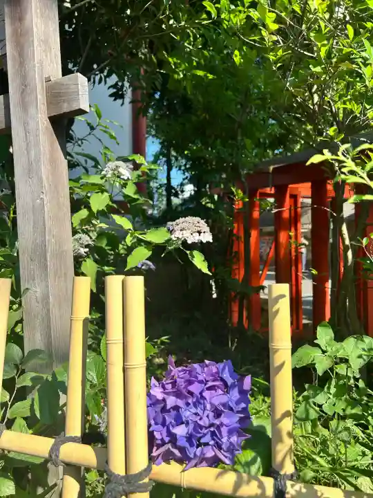田無神社(東京都)