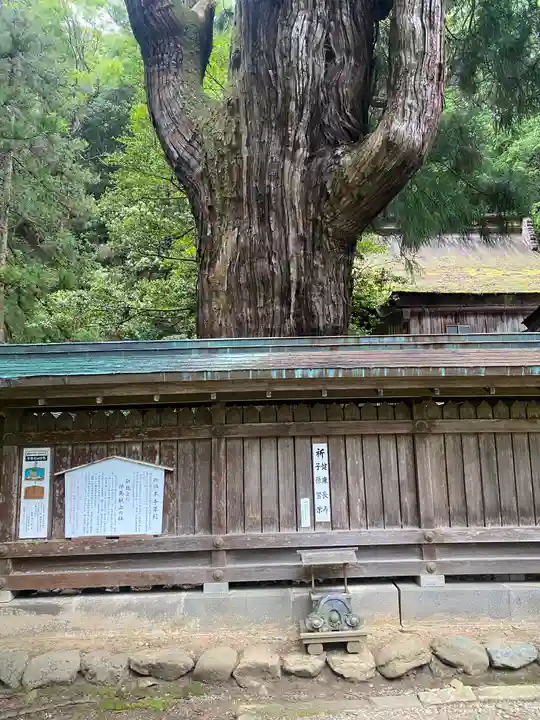 若狭姫神社(若狭彦神社下社)(福井県)