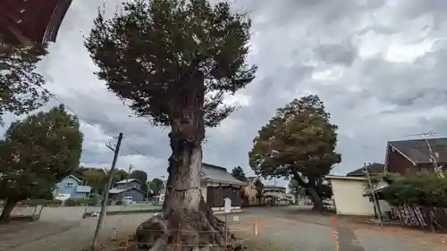 相原八幡宮(神奈川県)