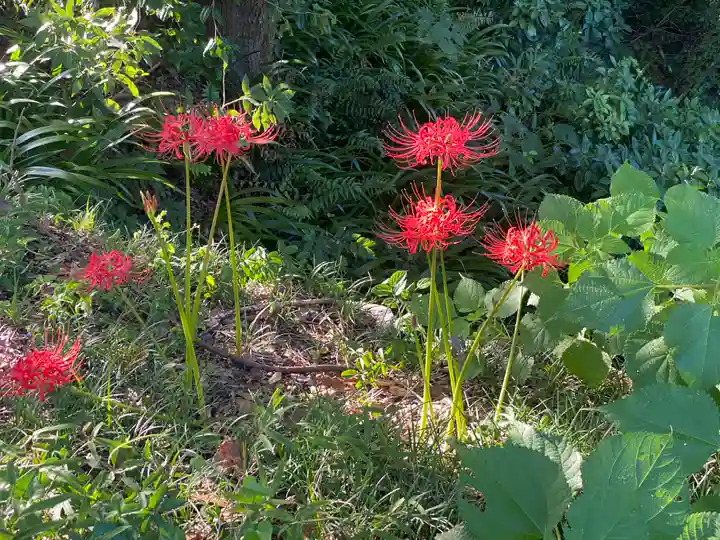 高岡市護国神社の自然
