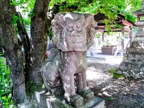 熊野三社の狛犬