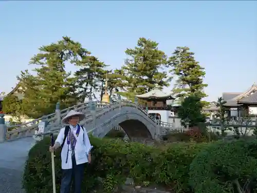 善通寺の建物その他