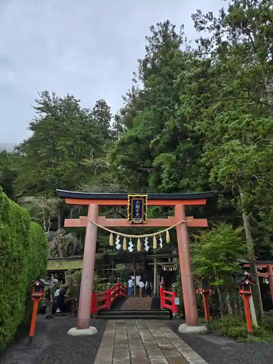 天河大辨財天社の鳥居