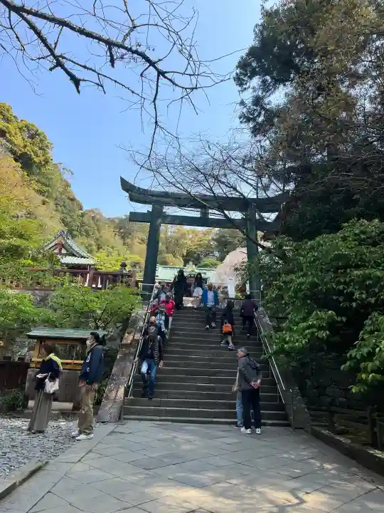久能山東照宮の{uncategorized: "未分類", other: "その他", undefined: "問題あり", building: "その他建物", grave: "お墓", sacred_gate: "鳥居", guardian: "狛犬", statue: "像", buddha: "仏像", history: "歴史", nature: "自然", garden: "庭園", animal: "動物", pagoda: "塔", temizu: "手水舎", mountain_gate: "山門・神門", sanctuary: "本殿・本堂", subordinate: "末社・摂社", art: "芸術", scenery: "景色", jizo: "地蔵", ema: "絵馬", goshuin: "御朱印", omikuji: "おみくじ", items: "授与品その他", amulet: "お守り", goshuincho: "御朱印帳", eats: "食事", festival: "お祭り", votive_dance: "神楽", shichigosan: "七五三参", wedding: "結婚式", experience: "体験その他", initially: "初詣", around: "周辺", anti_infection: "感染症対策"}