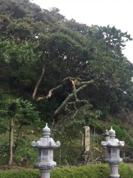 誕生寺のその他建物