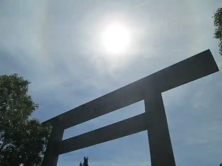 屋久島大社の自然