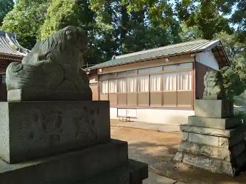 佐江戸杉山神社の狛犬