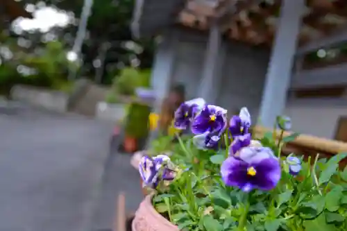 尻岸内八幡神社の景色