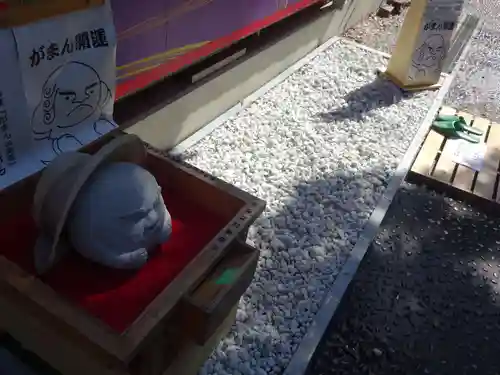 菊名神社の体験その他