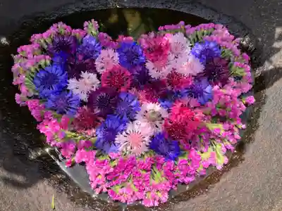 真言宗　善通寺派　薬王寺(香川県)