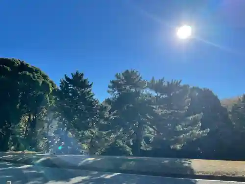 明治神宮(東京都)