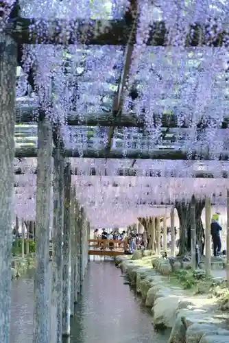 津島神社の自然