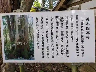飛鳥神社の{uncategorized: "未分類", other: "その他", undefined: "問題あり", building: "その他建物", grave: "お墓", sacred_gate: "鳥居", guardian: "狛犬", statue: "像", buddha: "仏像", history: "歴史", nature: "自然", garden: "庭園", animal: "動物", pagoda: "塔", temizu: "手水舎", mountain_gate: "山門・神門", sanctuary: "本殿・本堂", subordinate: "末社・摂社", art: "芸術", scenery: "景色", jizo: "地蔵", ema: "絵馬", goshuin: "御朱印", omikuji: "おみくじ", items: "授与品その他", amulet: "お守り", goshuincho: "御朱印帳", eats: "食事", festival: "お祭り", votive_dance: "神楽", shichigosan: "七五三参", wedding: "結婚式", experience: "体験その他", initially: "初詣", around: "周辺", anti_infection: "感染症対策"}