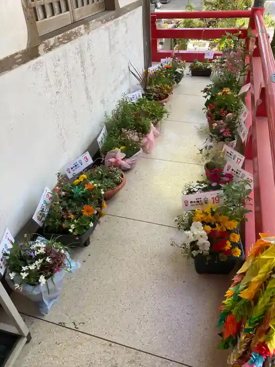 岩本寺(高知県)