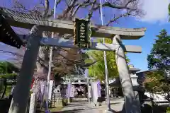 鹿島御子神社の鳥居