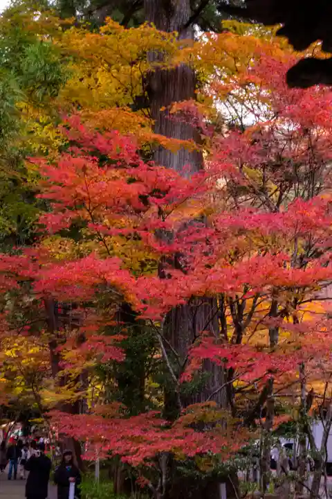 大矢田神社(岐阜県)