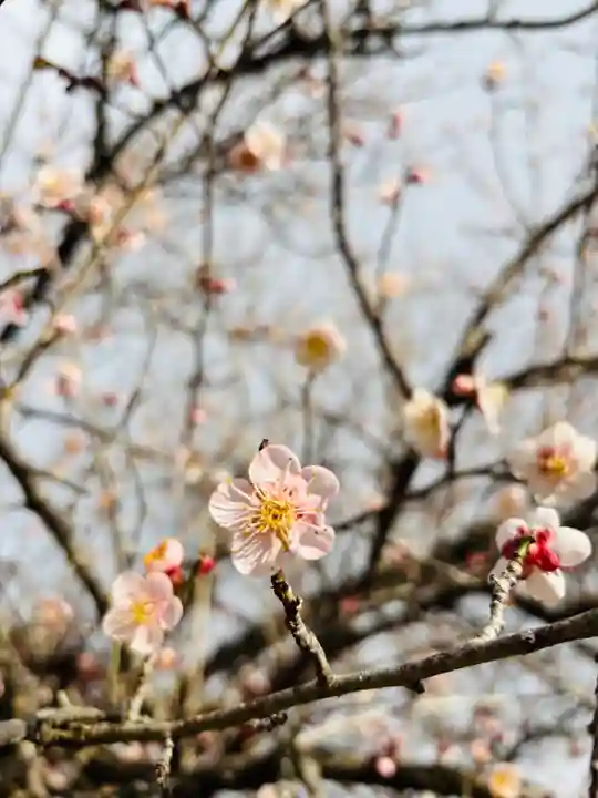 二兒神社(福岡県)