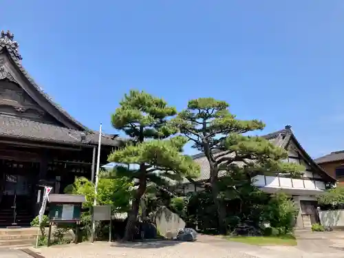 海徳寺のその他建物