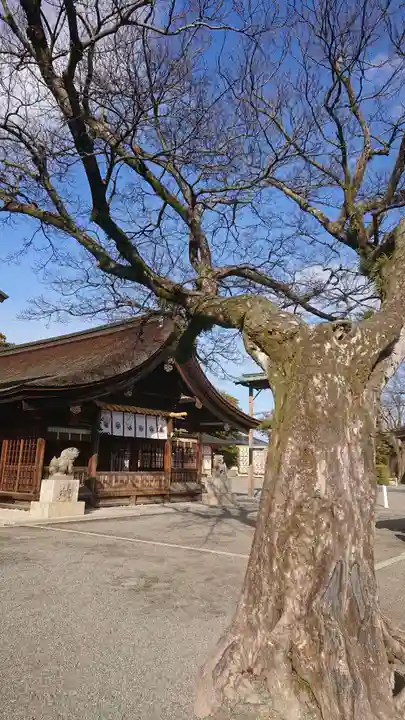 尾張大國霊神社(国府宮)の本殿・本堂