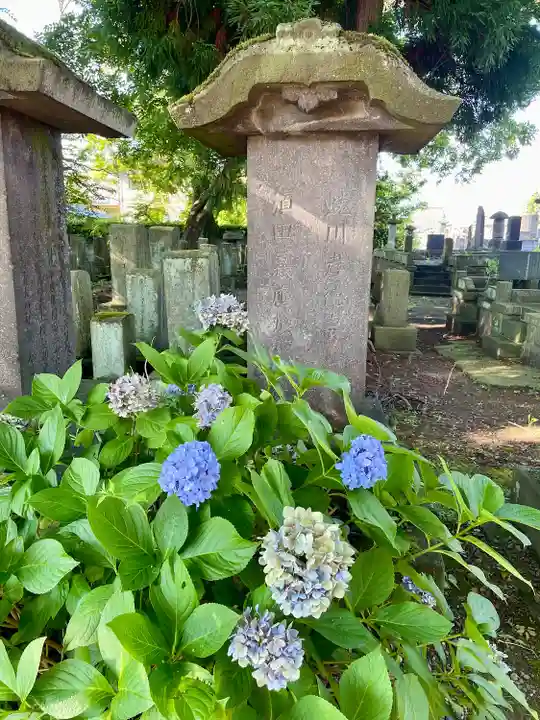 実成寺(福島県)