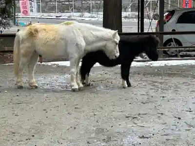 丹生川上神社（下社）(奈良県)