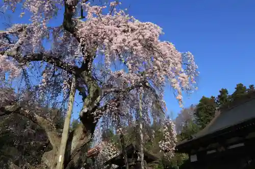 建福寺の自然