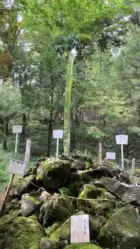 日光二荒山神社(栃木県)