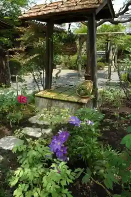 穴太寺のその他建物