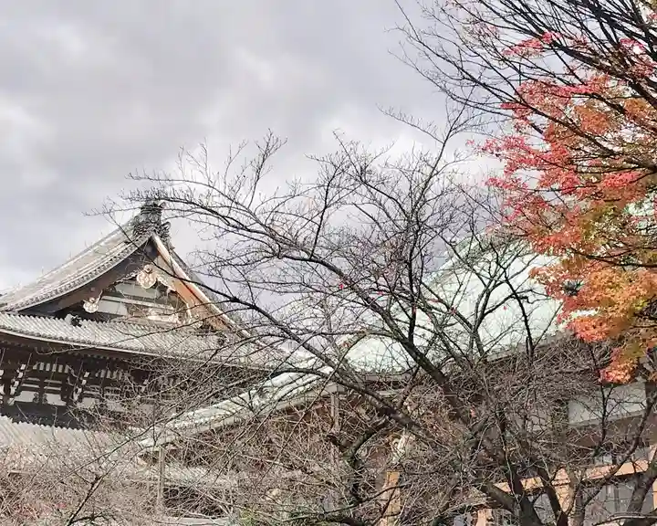 真宗大谷派名古屋別院の自然