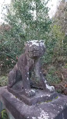 泉浄院の狛犬