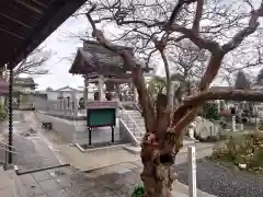 福永寺の建物その他