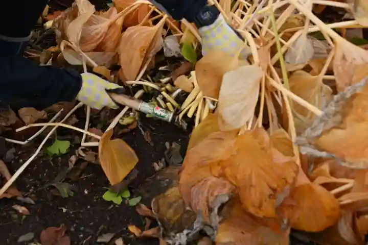 宝光寺(北海道)