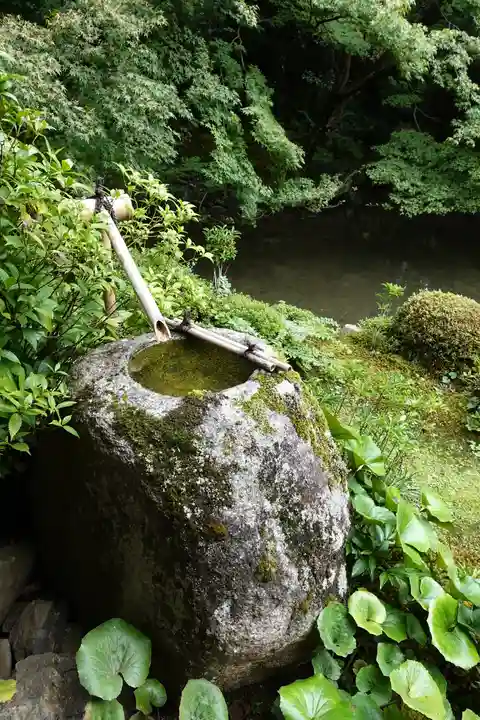 蓮華寺(洛北蓮華寺)の庭園