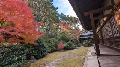 大光明寺(京都府)