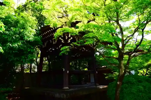 廬山寺（廬山天台講寺）の建物その他