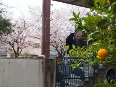 手原稲荷神社(滋賀県)