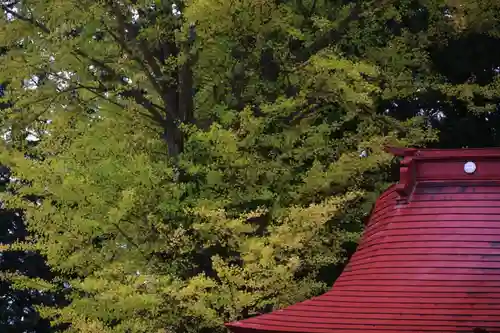 山神社の景色