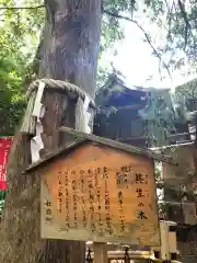 大宮八幡宮の歴史