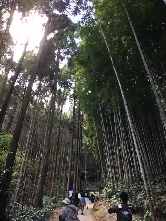 武雄神社(佐賀県)