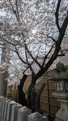 向日神社(京都府)