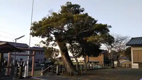 片岡神明宮の自然