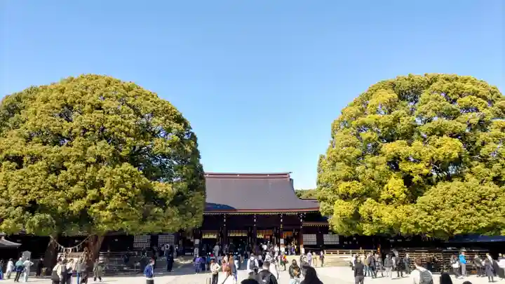 明治神宮(東京都)