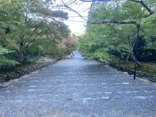 二尊院の{uncategorized: "未分類", other: "その他", undefined: "問題あり", building: "その他建物", grave: "お墓", sacred_gate: "鳥居", guardian: "狛犬", statue: "像", buddha: "仏像", history: "歴史", nature: "自然", garden: "庭園", animal: "動物", pagoda: "塔", temizu: "手水舎", mountain_gate: "山門・神門", sanctuary: "本殿・本堂", subordinate: "末社・摂社", art: "芸術", scenery: "景色", jizo: "地蔵", ema: "絵馬", goshuin: "御朱印", omikuji: "おみくじ", items: "授与品その他", amulet: "お守り", goshuincho: "御朱印帳", eats: "食事", festival: "お祭り", votive_dance: "神楽", shichigosan: "七五三参", wedding: "結婚式", experience: "体験その他", initially: "初詣", around: "周辺", anti_infection: "感染症対策"}