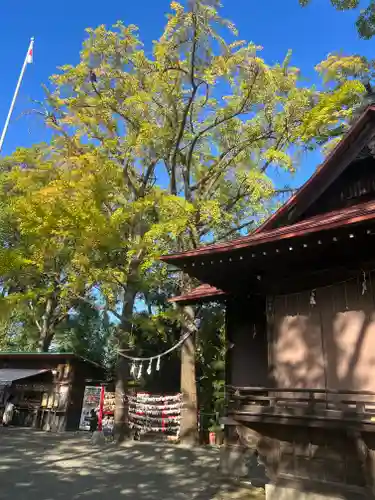 多摩川浅間神社(東京都)