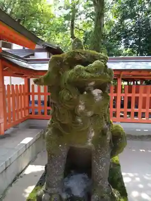 住吉神社の狛犬