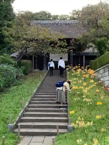 横浜　西方寺の山門・神門
