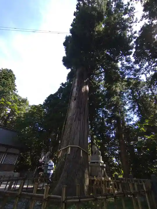 戸隠神社中社(長野県)